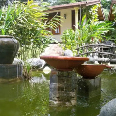 Отель SeethaRama Ayurveda Resort Стандартный номер с различными типами кроватей