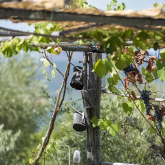 Отель Le Capanne di Villa Margherita Сперлонга детские мероприятия