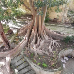 Отель Garden Suite Лечче фото 5