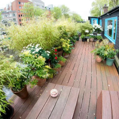 Отель Blue Wave Houseboat Нидерланды, Амстердам - отзывы, цены и фото номеров - забронировать отель Blue Wave Houseboat онлайн балкон