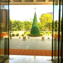 Lijing International Hotel