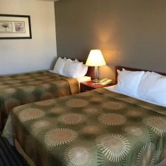 Отель Buena Vista Motor Inn в номере