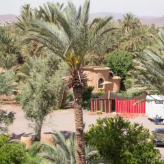 Отель Ecolodge - La Palmeraie Марокко, Уарзазат - отзывы, цены и фото номеров - забронировать отель Ecolodge - La Palmeraie онлайн фото 7