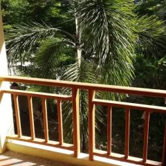 Отель Paddys Palms Resort 3* Стандартный номер с различными типами кроватей фото 7