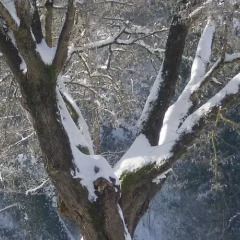 Отель Agriturismo Montassi E Bruscolaio Монтеварчи приотельная территория