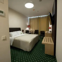Гостиница Грин Сити 3* Стандартный номер разные типы кроватей фото 6