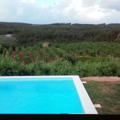 Отель Casal do Vale da Palha Студия разные типы кроватей фото 5