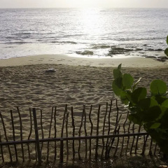 Отель Calabash Bay Four Bedroom Villa 4* Вилла