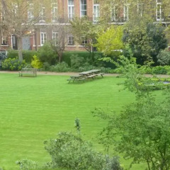 Garden View Hotel фото 2