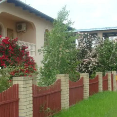 Гостиница Domoria Hostel в Сочи отзывы, цены и фото номеров - забронировать гостиницу Domoria Hostel онлайн фото 2