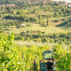 Отель Agriturismo Il Casolare di Bucciano Farmhouse Италия, Сан-Джиминьяно - отзывы, цены и фото номеров - забронировать отель Agriturismo Il Casolare di Bucciano Farmhouse онлайн фото 15