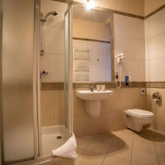 Grand Hotel Stamary Wellness & Spa 4* Стандартный номер с различными типами кроватей фото 4