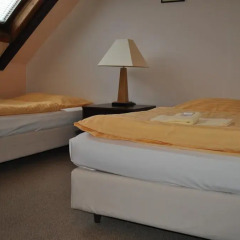 Hotel Svornost 3* Стандартный номер с 2 отдельными кроватями фото 11