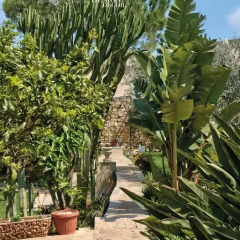 Отель Selmunett – Malta Homestay фото 15