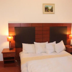 Diligence Hotel 3* Номер Комфорт с различными типами кроватей фото 3