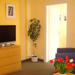 Отель Pension-Apartmany Cesky Dvur удобства в номере фото 2