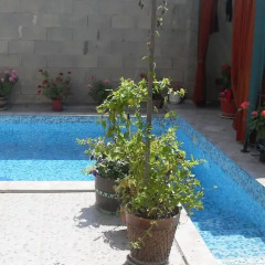 Отель Vlad - Tanya Guest House бассейн
