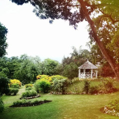 Отель Nutmeg Villa