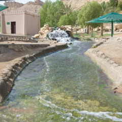Отель Green Mubazzarah Chalets ОАЭ, Эль-Айн - отзывы, цены и фото номеров - забронировать отель Green Mubazzarah Chalets онлайн бассейн фото 3