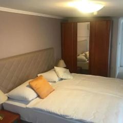 Hotel Vila Tina 3* Номер Делюкс с различными типами кроватей