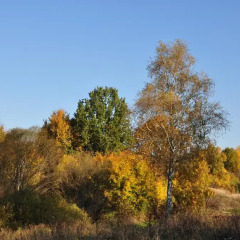 Гостиница Кудыкина Гора в Великом отзывы, цены и фото номеров - забронировать гостиницу Кудыкина Гора онлайн Великий фото 2