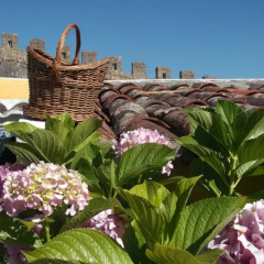 Отель Casa das Glicínias