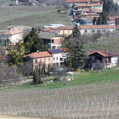 Отель Bed and Breakfast Cascina Beccaris Костиглиоле-д'Асти фото 2