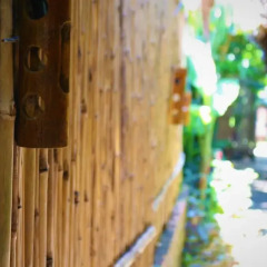 Отель Under the coconut tree Стандартный номер с различными типами кроватей фото 5