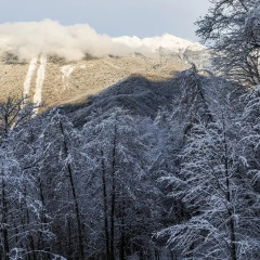 Гостиница Долина +960 4* Люкс с двуспальной кроватью фото 3