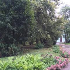 Гостиница Tambovkurort II