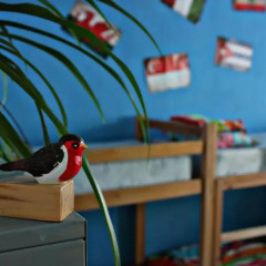 Magic Bus Kiev Hostel Кровать в общем номере фото 3