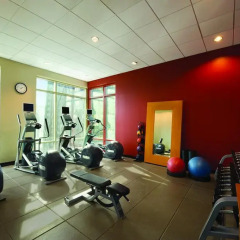 Отель Hilton Suites Chicago/Magnificent Mile фитнесс-зал
