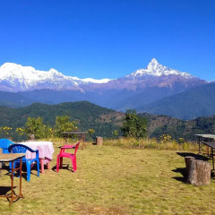 Отель Himalayan Deurali Resort Непал, Лехнат - отзывы, цены и фото номеров - забронировать отель Himalayan Deurali Resort онлайн фото 14
