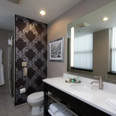 Отель The Giacomo, An Ascend Hotel Collection Member США, Ниагара-Фолс - отзывы, цены и фото номеров - забронировать отель The Giacomo, An Ascend Hotel Collection Member онлайн ванная фото 2