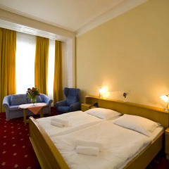 Hotel Palacký 3* Стандартный номер с двуспальной кроватью фото 6