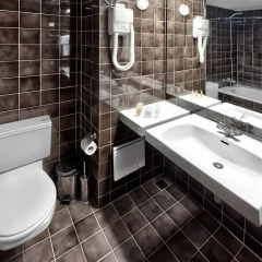 Отель Interhotel Sandanski 4* Стандартный номер с разными типами кроватей