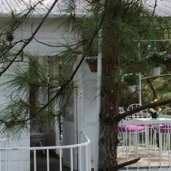 Отель Pine Hill Homestay Dalat