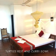 Отель Turtles Rest and Curry Bowl 3* Стандартный номер с различными типами кроватей фото 3