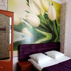 Hotel Zvezdnyi 3* Стандартный номер с двуспальной кроватью фото 6
