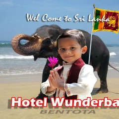 Wunderbar Beach Club Hotel спортивное сооружение
