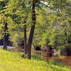 Отель Perpershka River Villas Болгария, Ардино - отзывы, цены и фото номеров - забронировать отель Perpershka River Villas онлайн приотельная территория фото 2