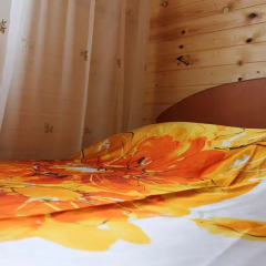 Mini-hotel Ekonomnaya Derevnia Стандартный номер разные типы кроватей