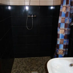 Гостиница Diana Guest House Стандартный номер разные типы кроватей фото 32