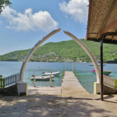 Отель Tropical Hideaway 4* Улучшенные апартаменты с различными типами кроватей
