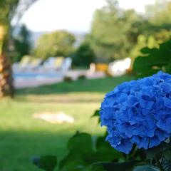 Отель Casa de Abbades фото 3