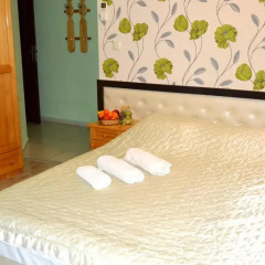 Отель Pri Popa Guest House Болгария, Свиштов - отзывы, цены и фото номеров - забронировать отель Pri Popa Guest House онлайн спа фото 2