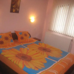 Aseva House Family Hotel детские мероприятия фото 2