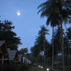 Отель Green Chilli Bungalows Таиланд, Ланта - отзывы, цены и фото номеров - забронировать отель Green Chilli Bungalows онлайн