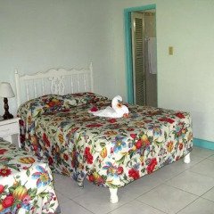 Отель Coral Seas Garden Resort 3* Стандартный номер с различными типами кроватей фото 2