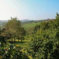 Отель Nature Lodge 2* Бунгало с различными типами кроватей фото 3